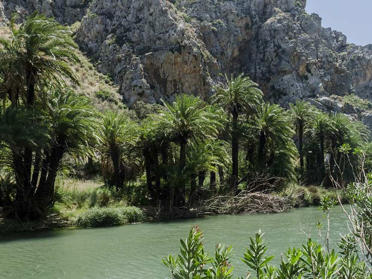 Een dag in de natuur in Zuid-Rethymno, Griekenland., photo 2