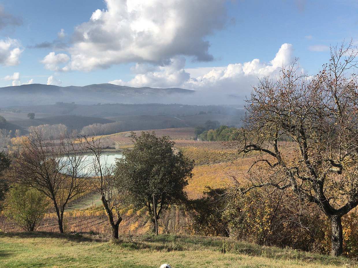 Exclusive Tuscan Cooking Class & Wine Tasting at a Tuscany Home in Italy, Florence, photo 4