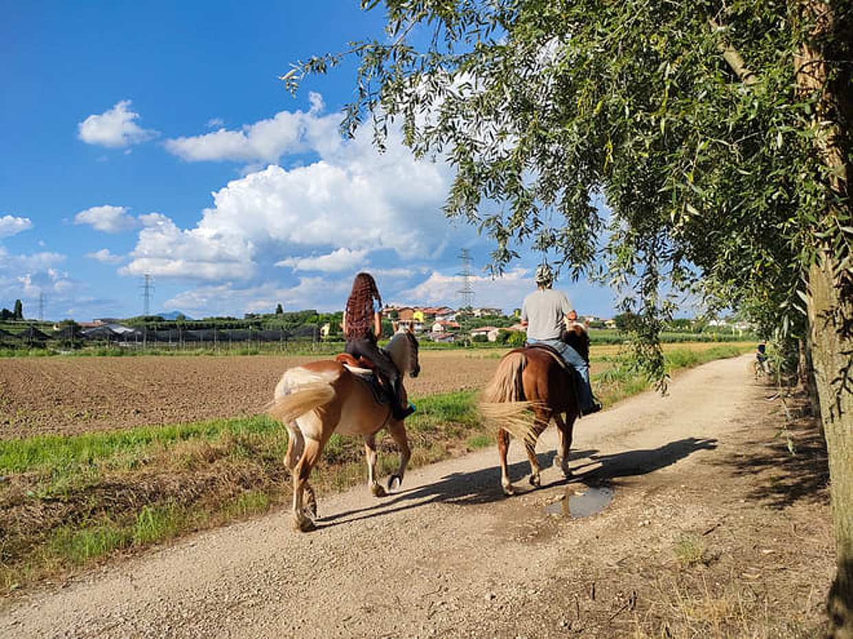 Horseback riding with Pic Nic in Lazise countryside
