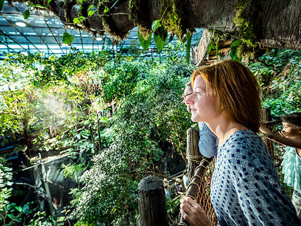 Gothenburg: Universeum & Haga Private Day Tour with Guide, photo 2