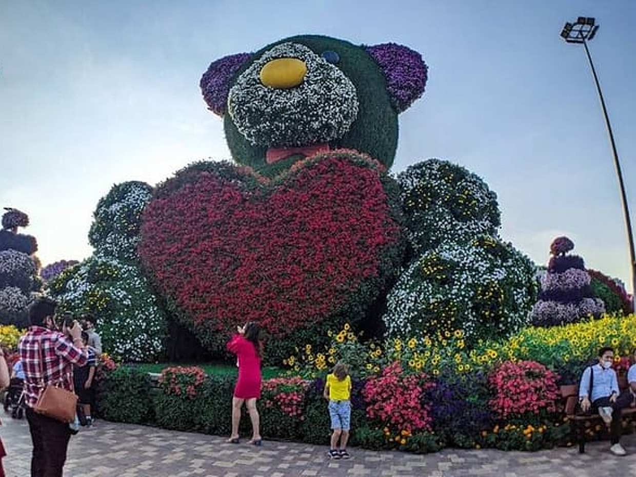 Bilet do Miracle Garden, Zjednoczone Emiraty Arabskie, photo 5