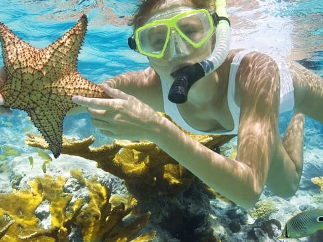 Top Attractions In Sharm El Sheikh In Full Day Tour From Cairo, photo 3