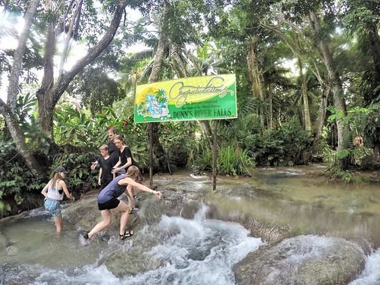 Zipline Canopy & Dunn's River Falls Guided Tour with Admission from Falmouth, photo 4