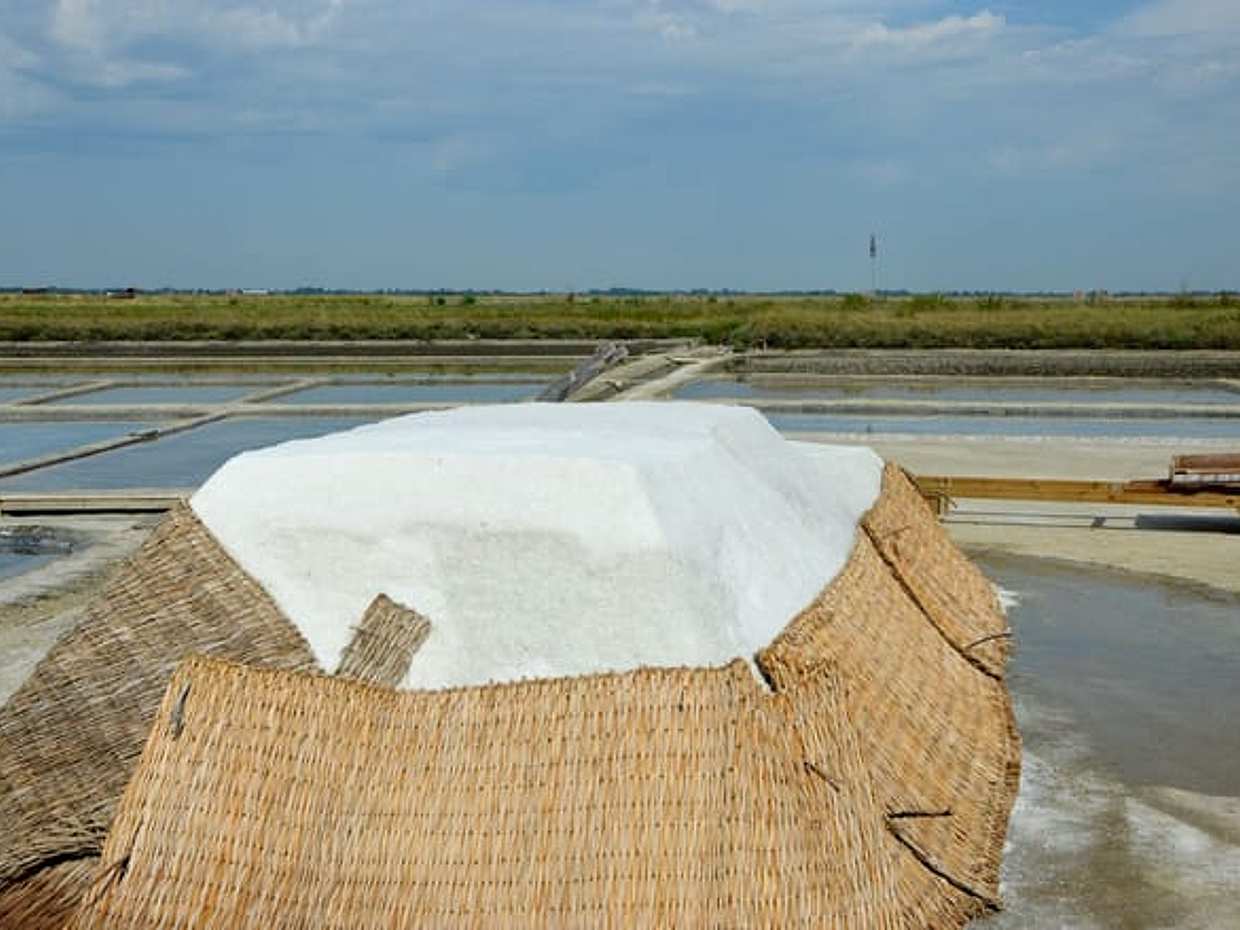 Cervia: unveiling the ancient Salt Pans, photo 4