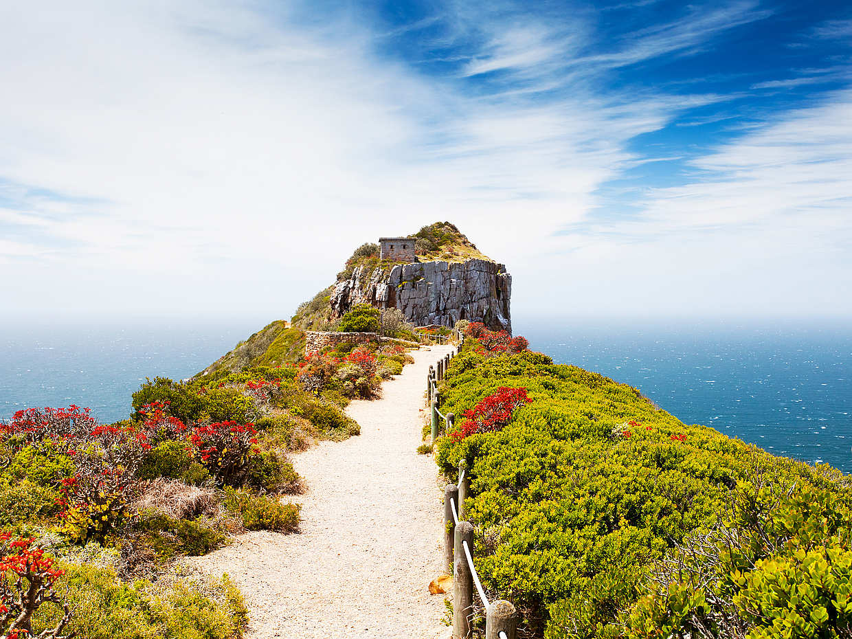 Full Day Cape Peninsula Trike Tour in South Africa, Cape Town, photo 4