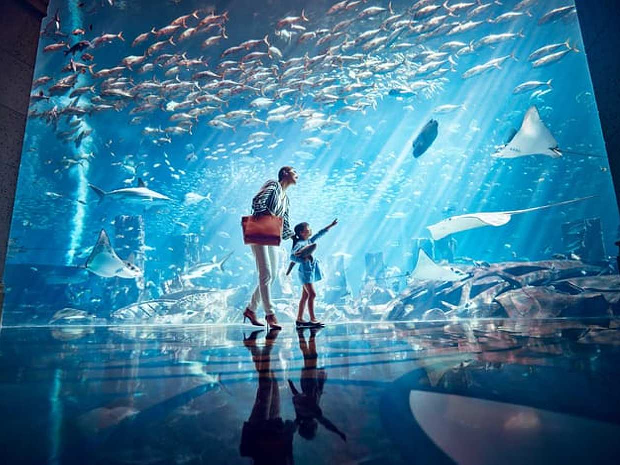 Aquaventure Water Park avec billet pour l'aquarium Lost Chamber aux Émirats arabes unis, Dubaï, photo 5