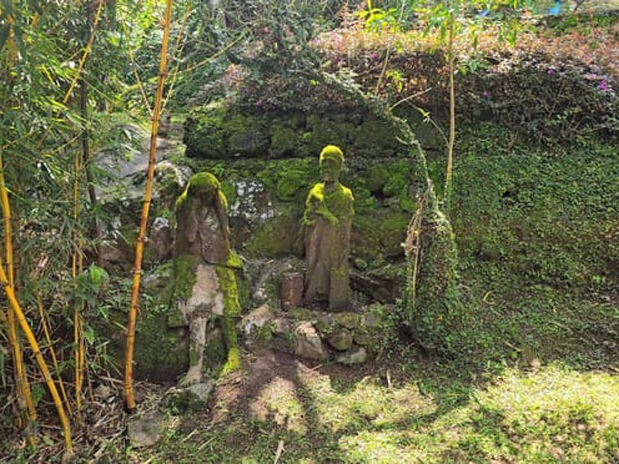 Kilimanjaro: Marangu Day Trip | Waterfalls | Coffee Tour & Chagga Culture, Tanzania, photo 5
