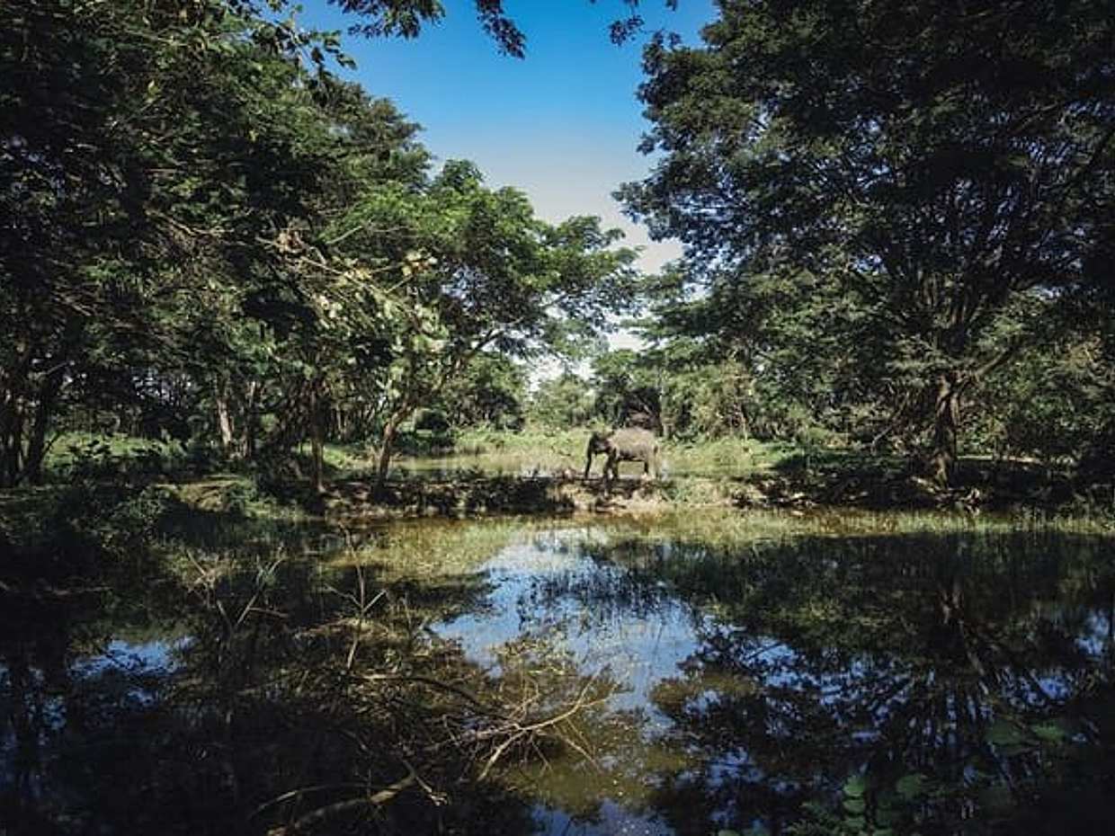 Private Transfer from Bangkok to Chiang Rai with 2h of Sightseeing, photo 3