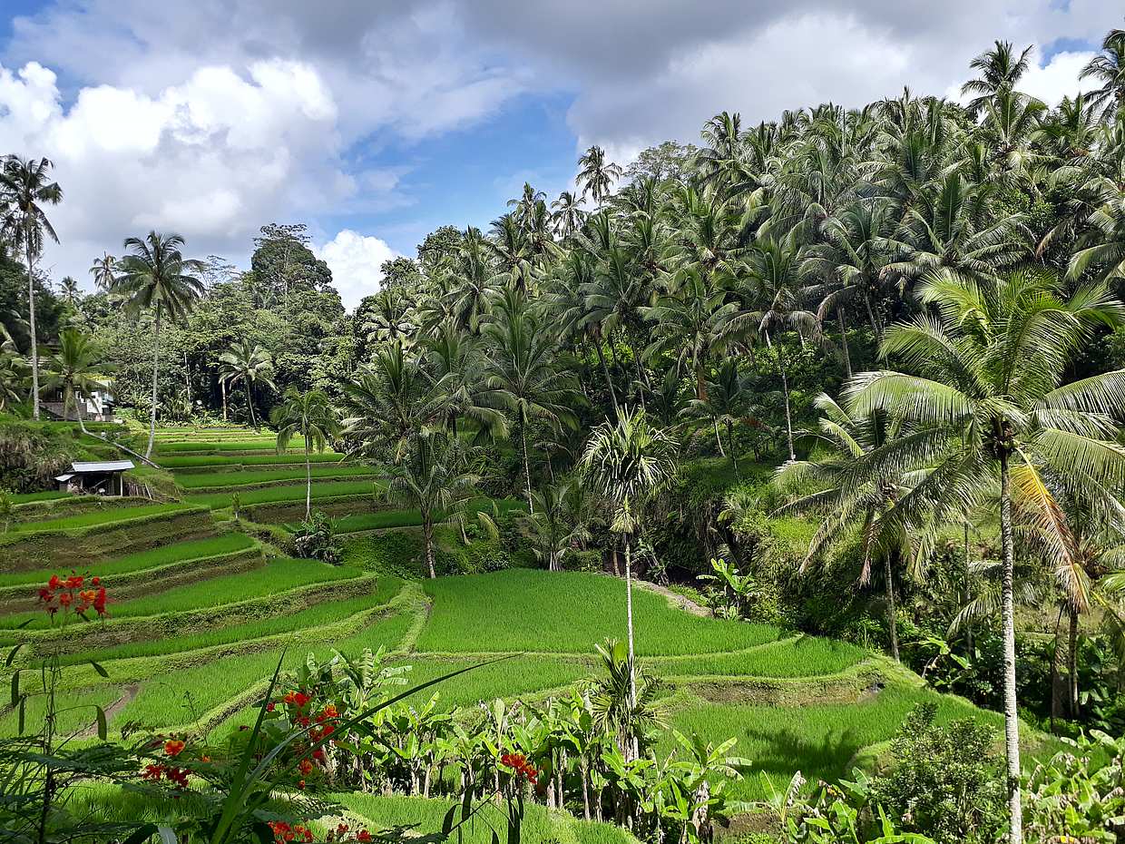 Puertas del Cielo, columpio y cascada de Bali, photo 5