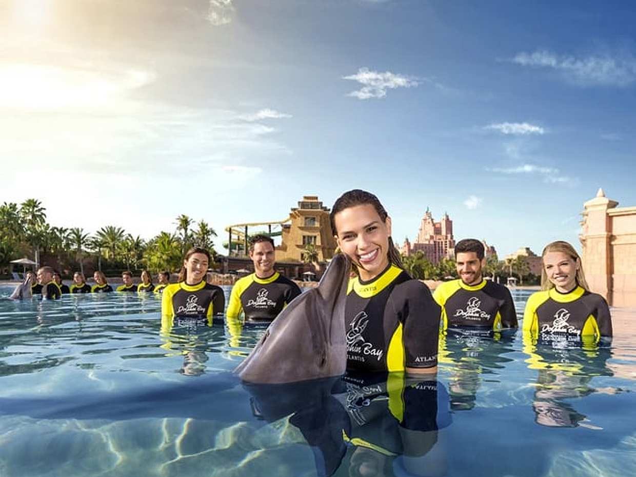 "Dolphin Bay Atlantis negli Emirati Arabi Uniti, Dubai", photo 4