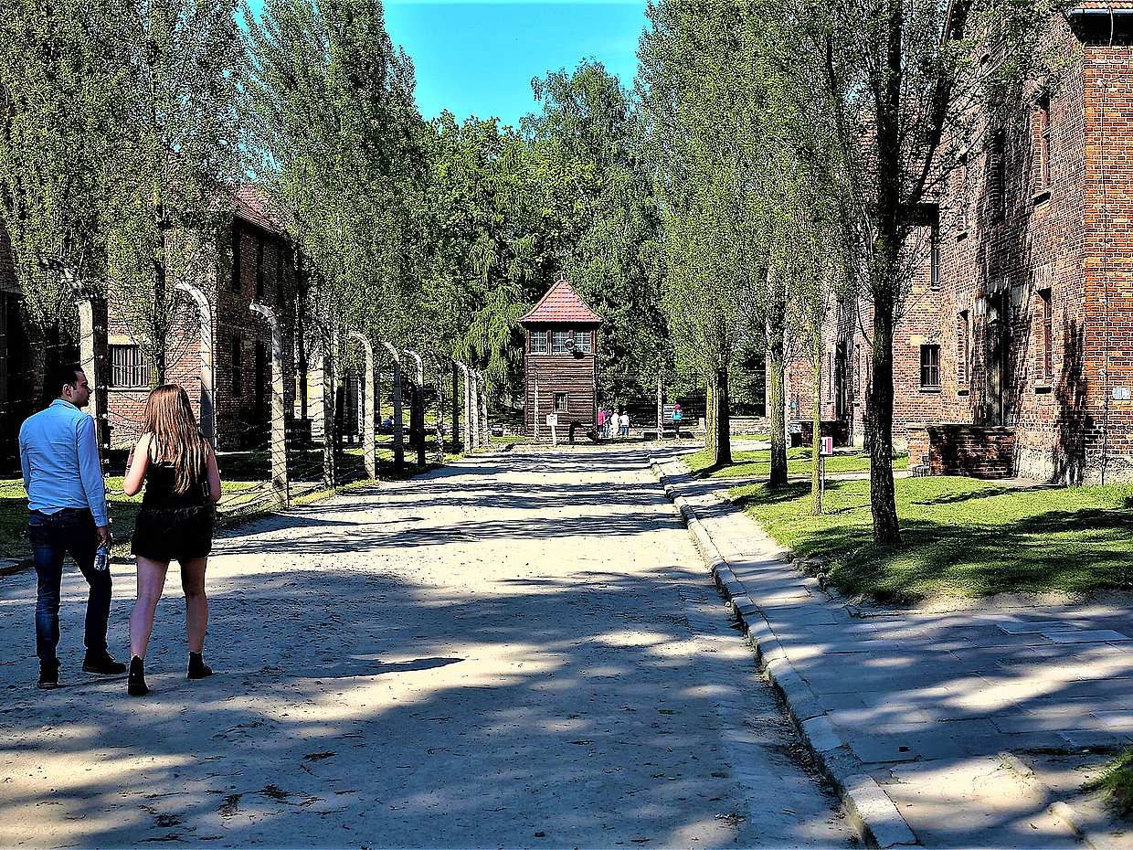 Auschwitz-Birkenau Full-day Tour from Krakow in Poland, photo 4
