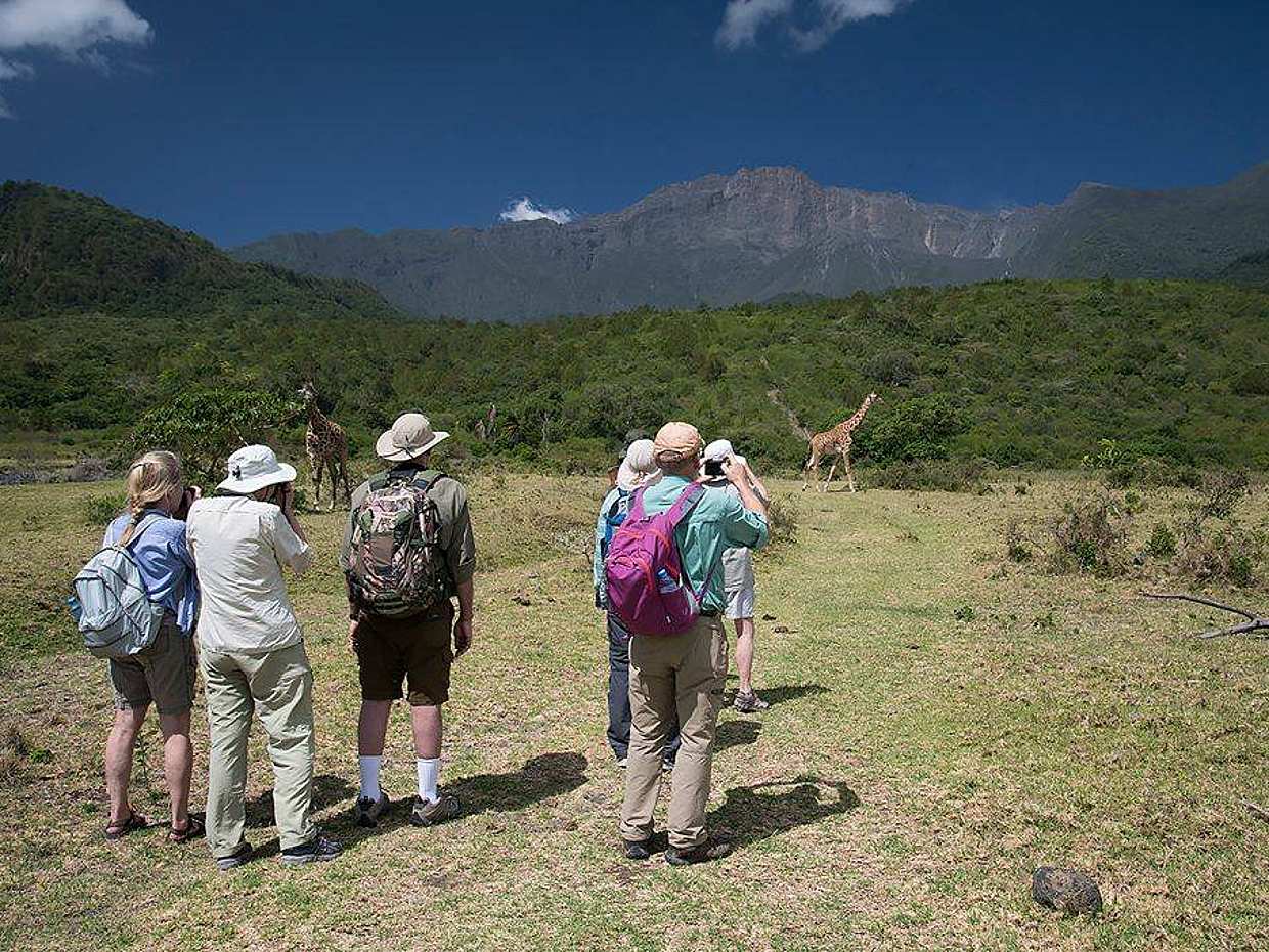 Arusha National Park Full-day Tour in Tanzania