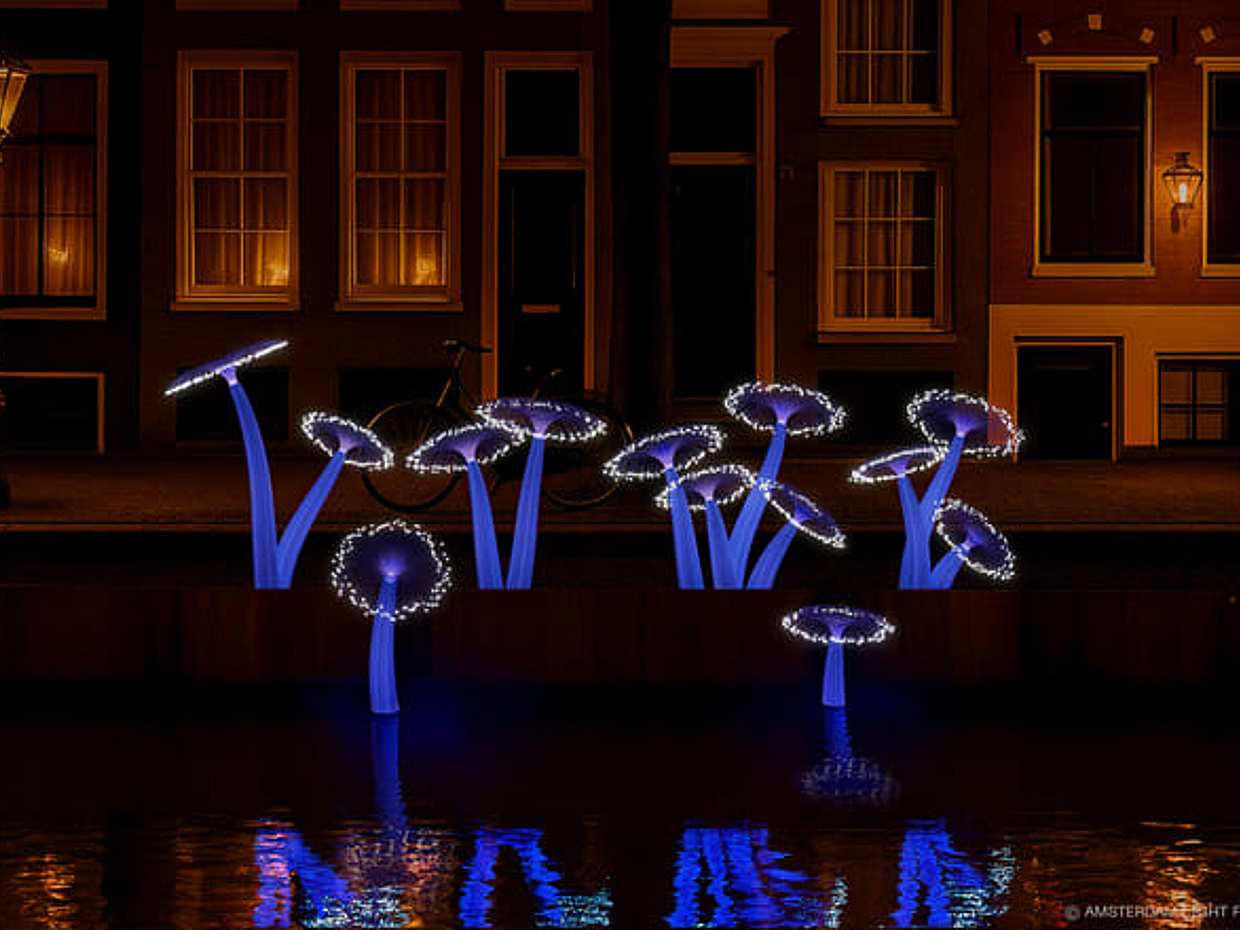 Amsterdam Light Festival Winter Walk with Stroopwafel Workshop in Netherlands, photo 4
