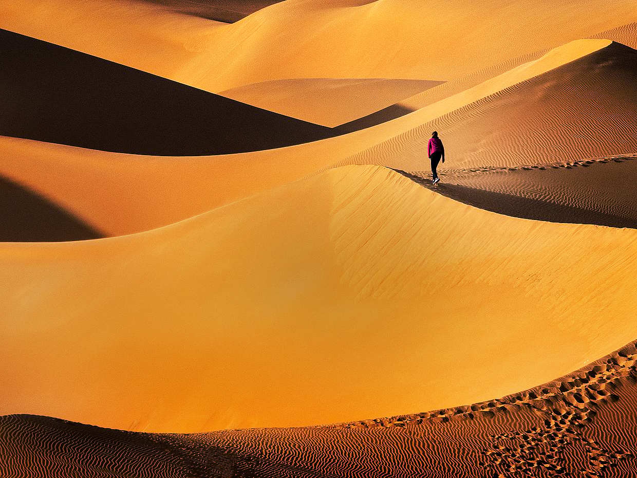 Private Liwa Full-day Desert Safari in Abu Dhabi, United Arab Emirates, photo 3