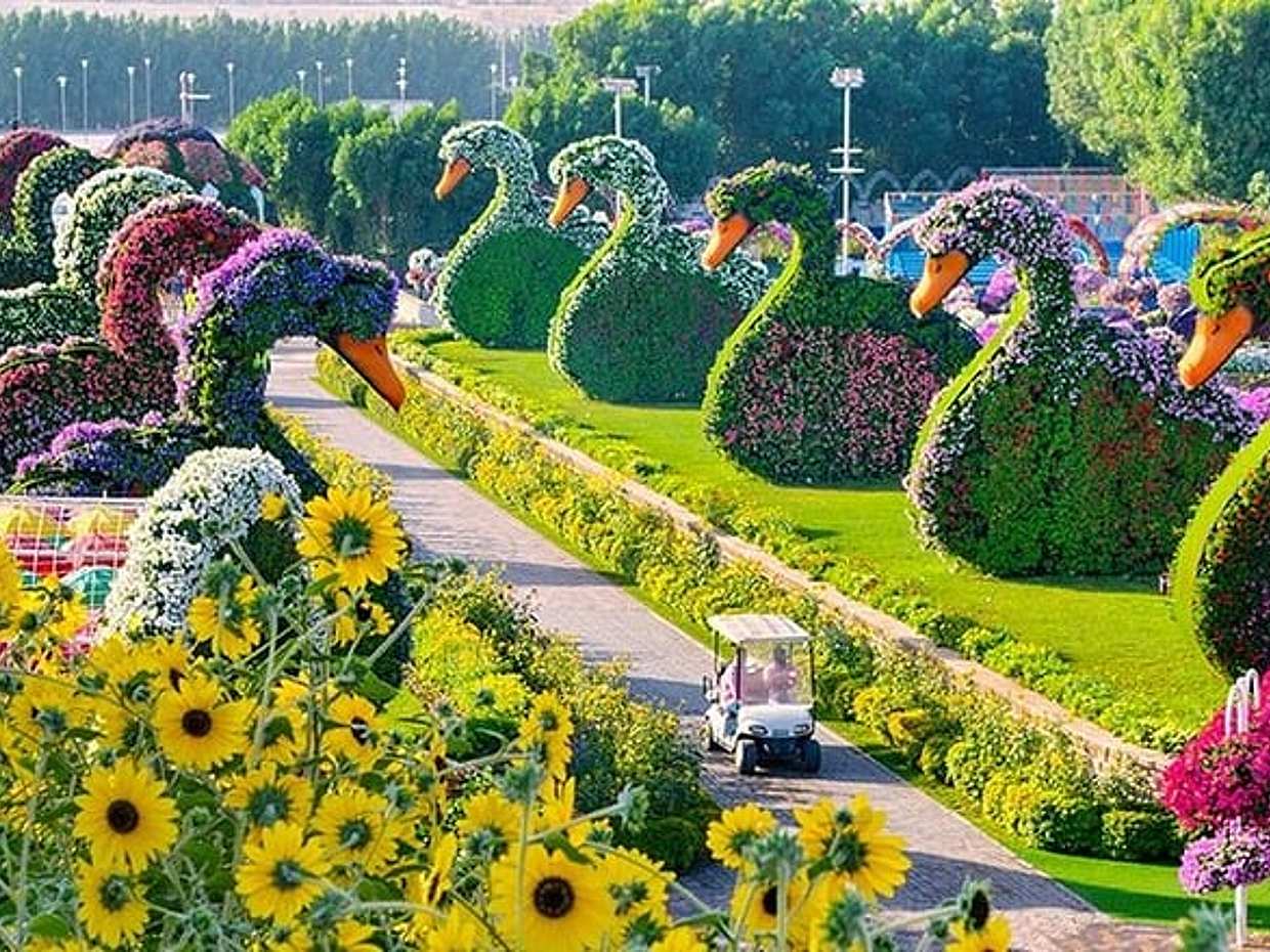 Входные билеты в Dubai Miracle Garden в Объединенных Арабских Эмиратах, Шарджа, photo 3