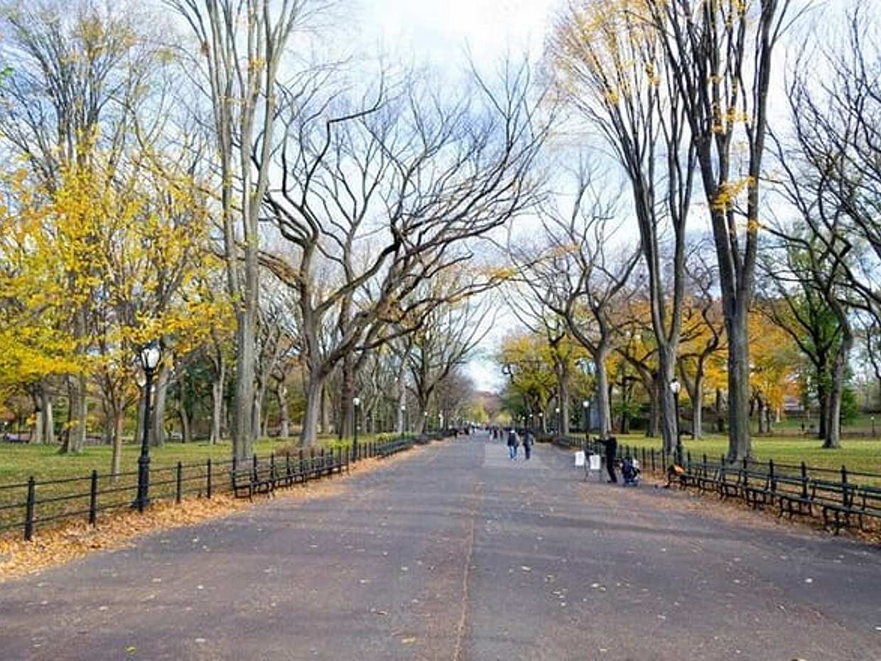 New York City Tour in One Day: Central Park, 911 and Ferry Statue, photo 3