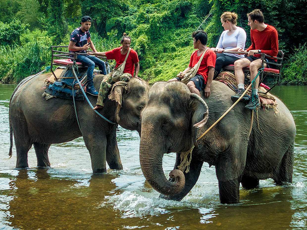 Bangkok - Kanchanaburi: Río Kwai con paseo en elefante y rafting en bambú en Tailandia