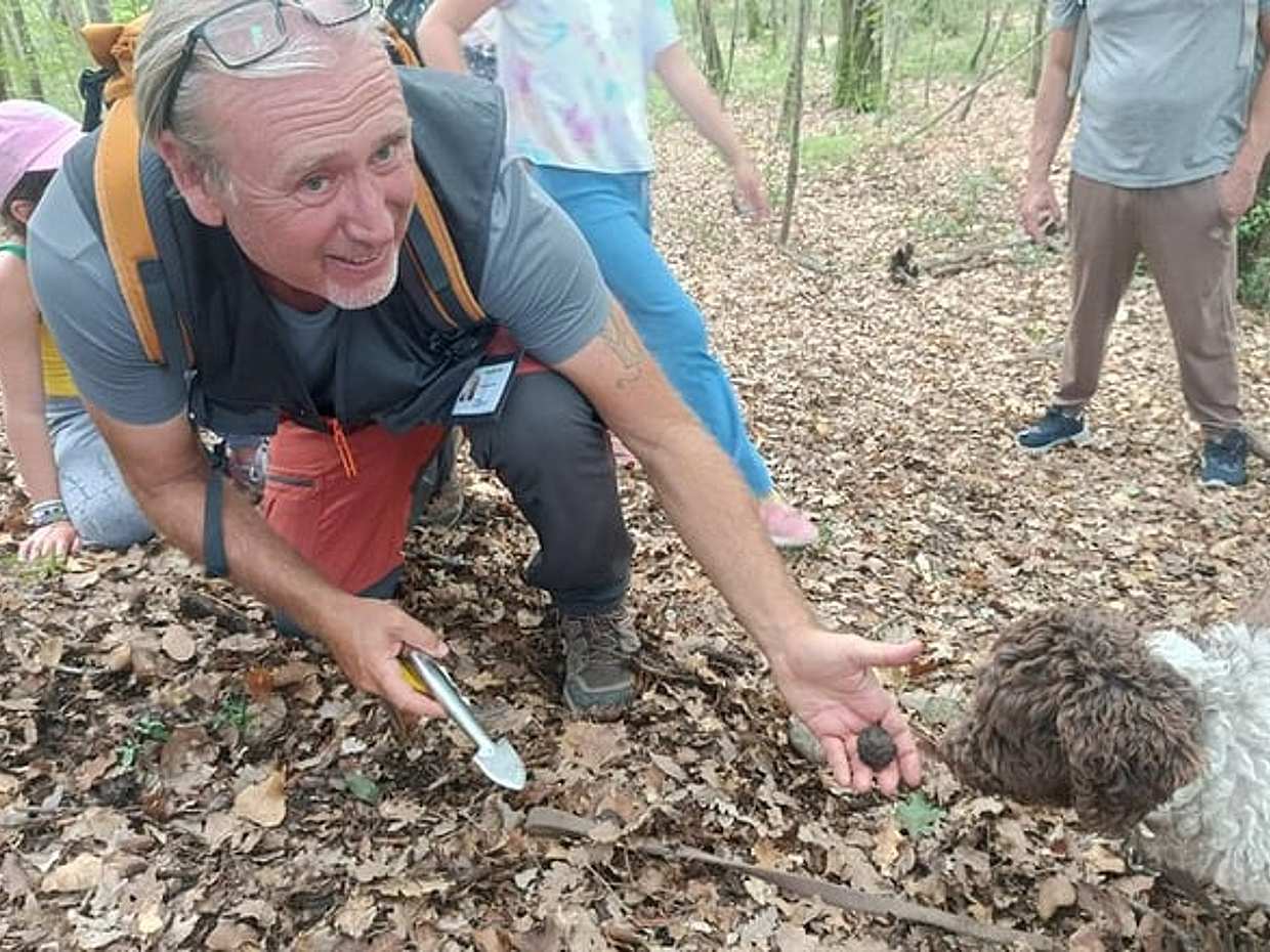 Truffle hunting experience with lunch and Chianti wine tasting, photo 2