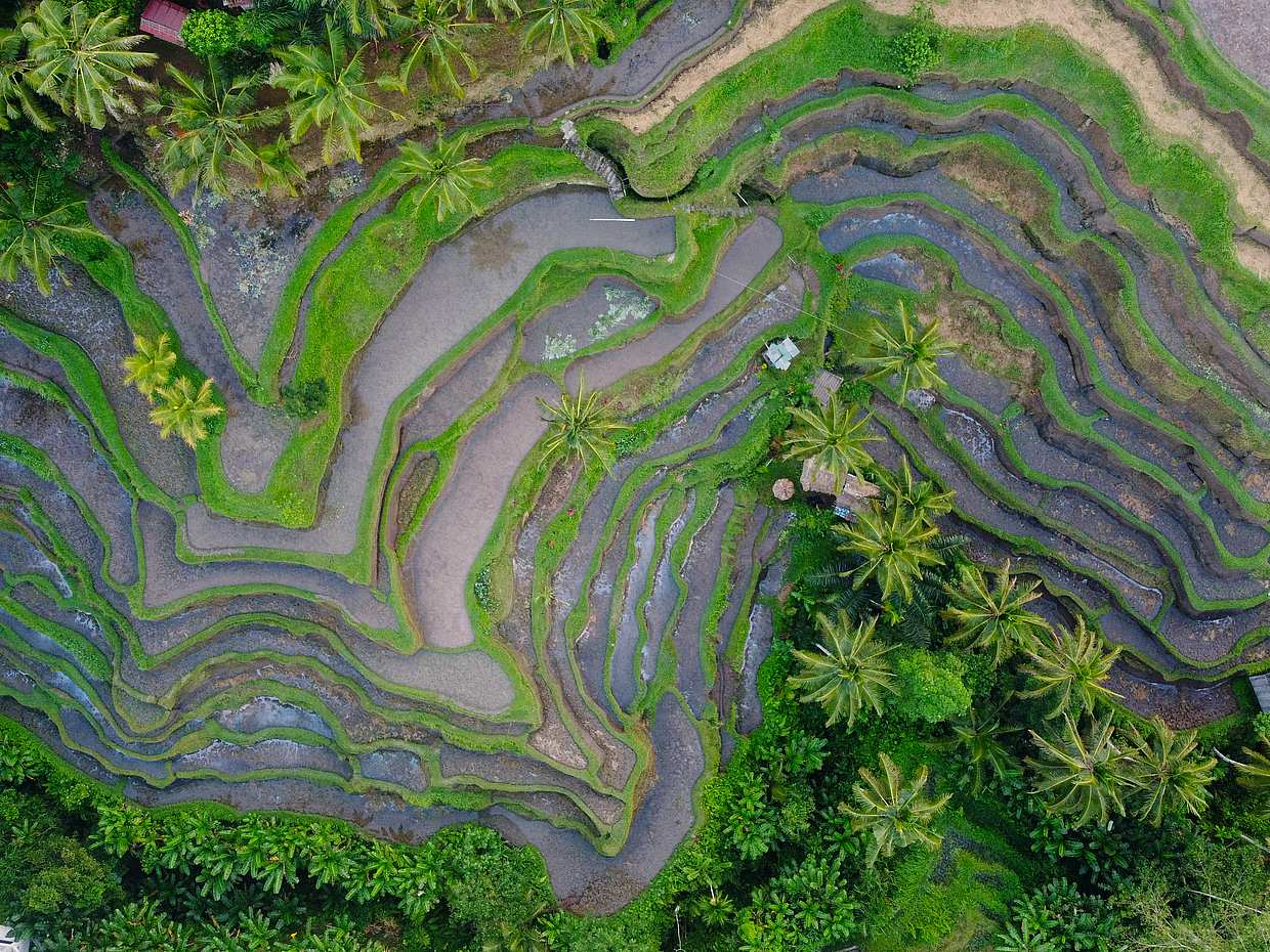 Bali Fantastic One-day Private Tour, photo 4