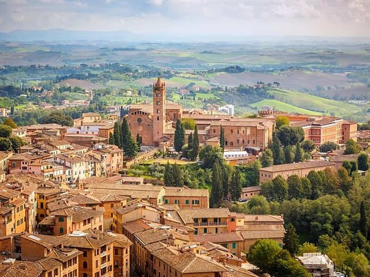 Private day trip from Florence to Montepulciano, Siena and back in Italy, Tuscany