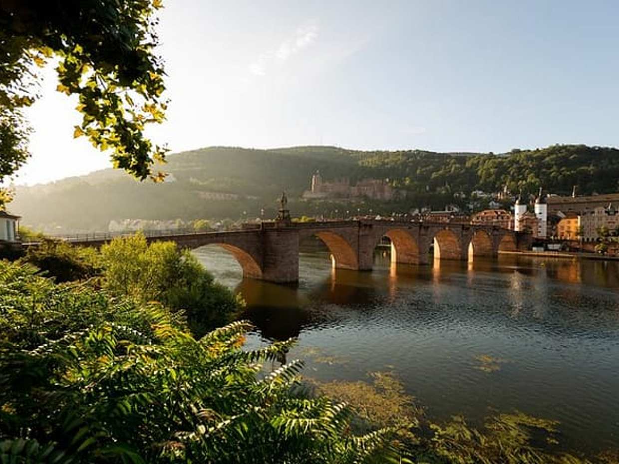 Viaje privado de un día: de Fráncfort a Heidelberg y regreso, photo 5