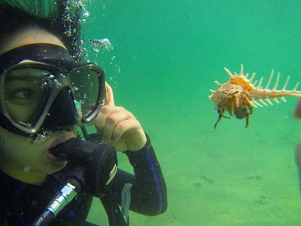 Scuba Diving Tour Fujairah, photo 2