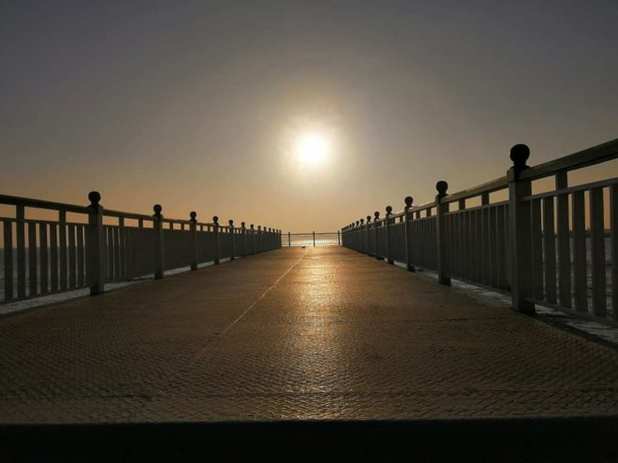 Project Colombo, photo 3