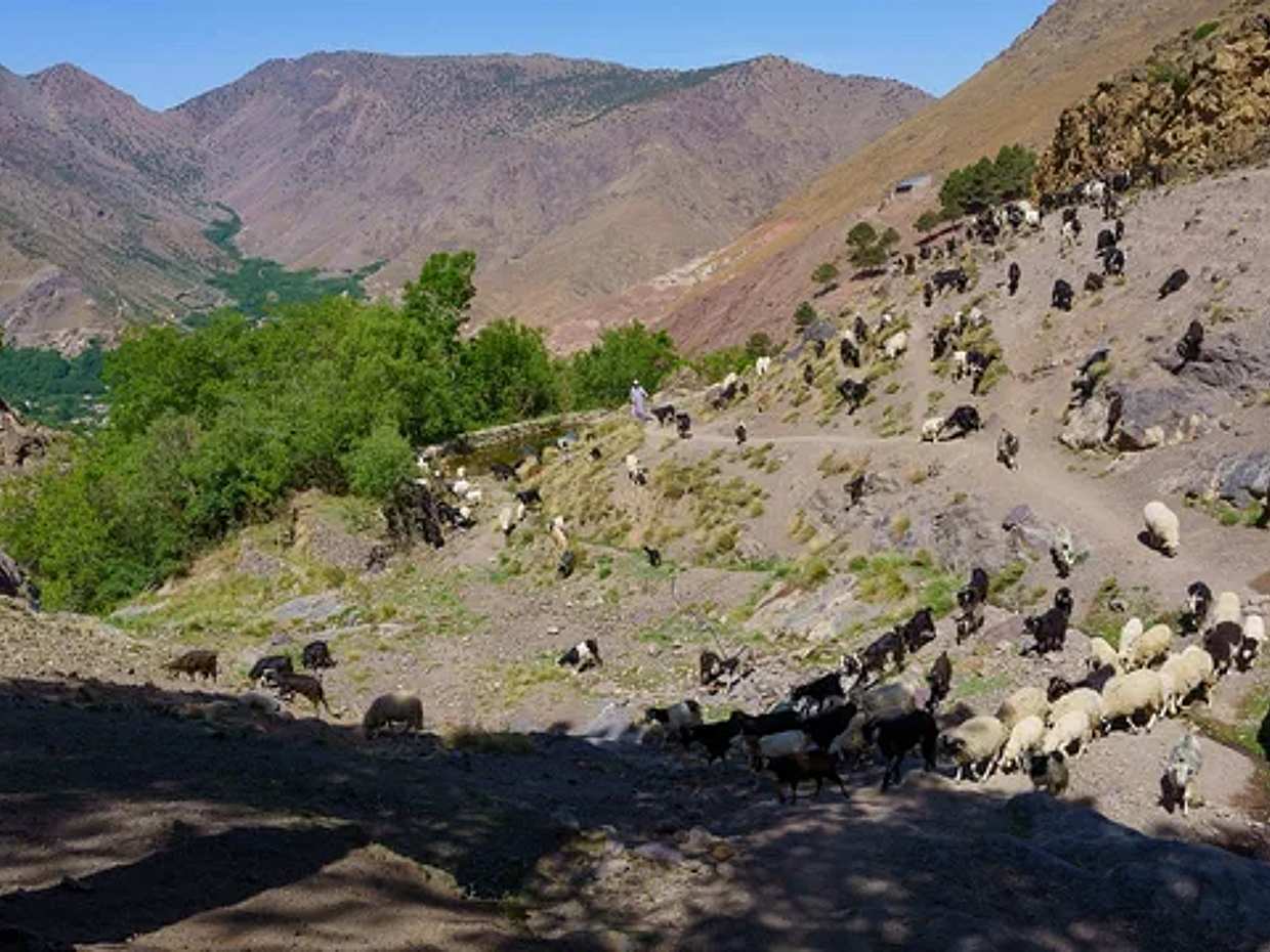 Berberische Gastfreundschaft in Marokko, Marrakesch
, photo 2