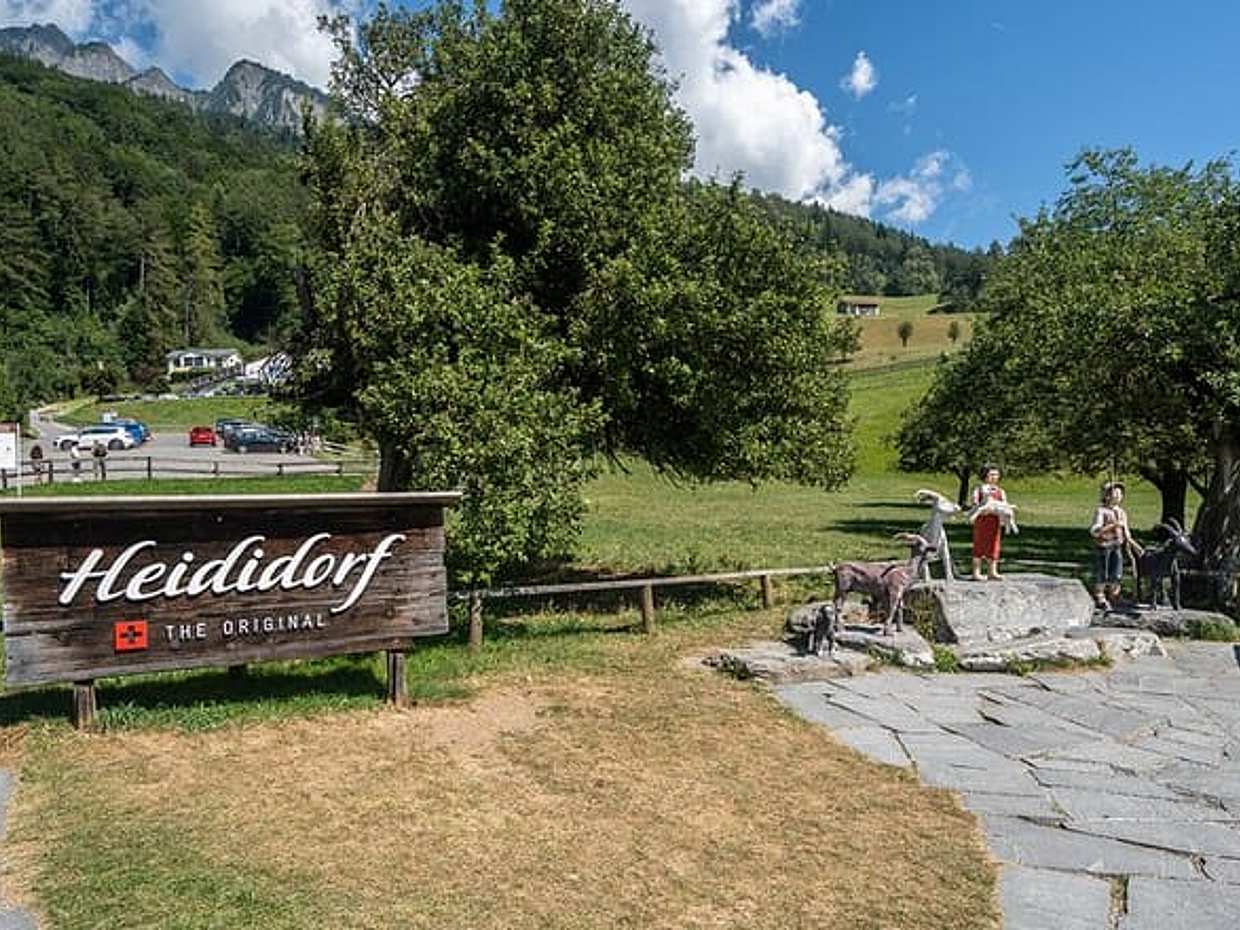 Prywatna jednodniowa wycieczka z Zurychu do Heidiland i Vaduz w Szwajcarii, Zurych, photo 3