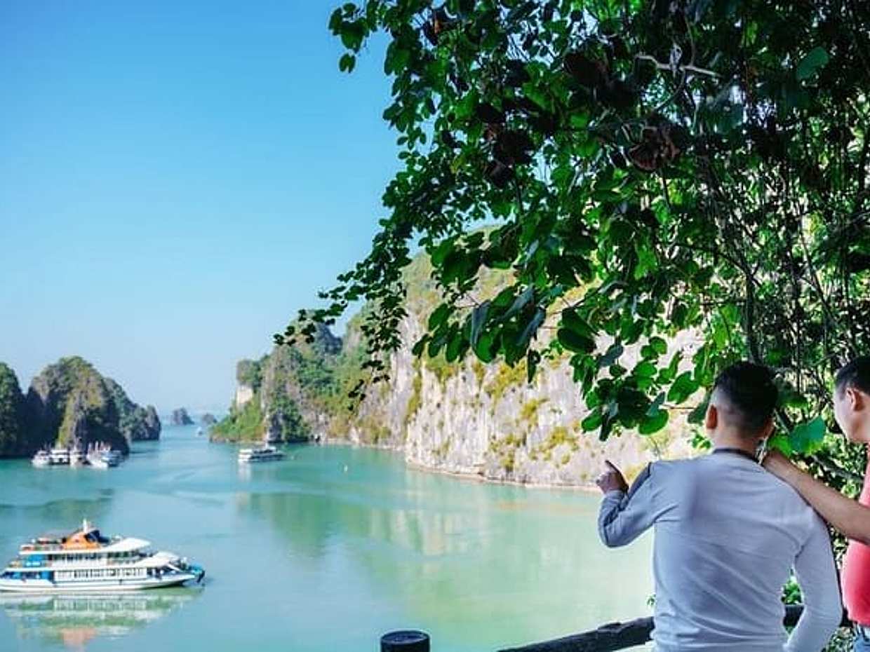 6 Hour Halong Bay Cruise From Tuan Chau International Port