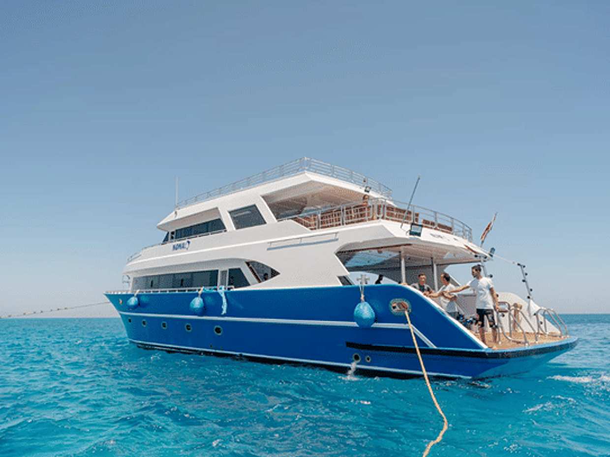Day tour to Orange Bay Island Snorkeling and Diving Experience