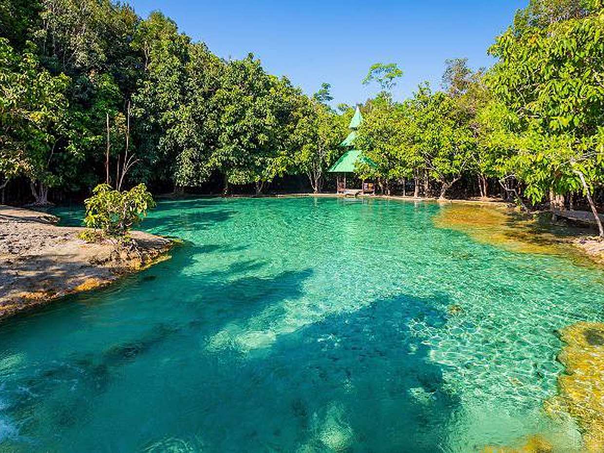 Krabi: Jungle Tour with Emerald Pool and Hot Spring Waterfall in Thailand, photo 4