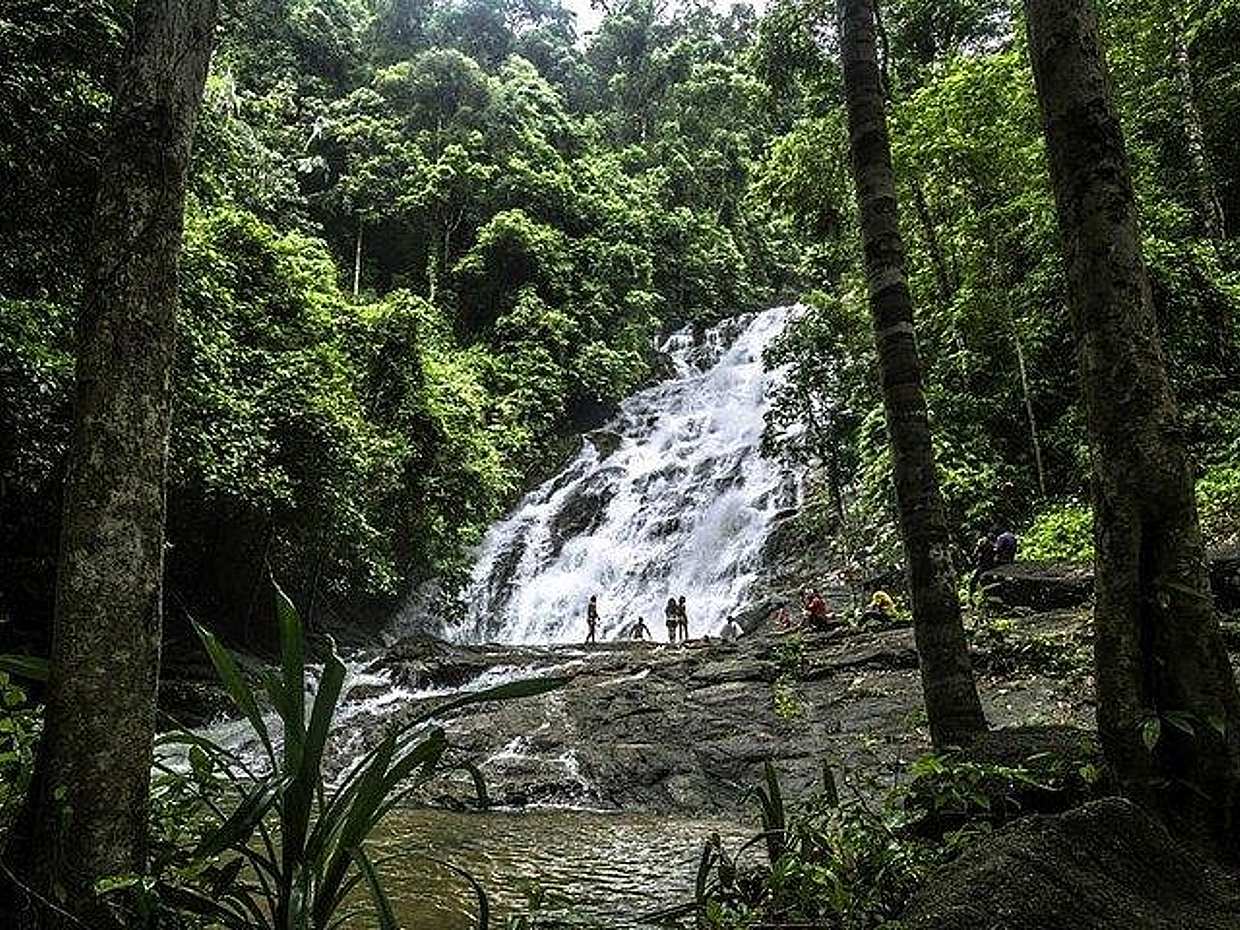 Phuket: Bamboo Rafting, Elephant Trekking with 30-minute ATV Riding in Thailand, photo 3