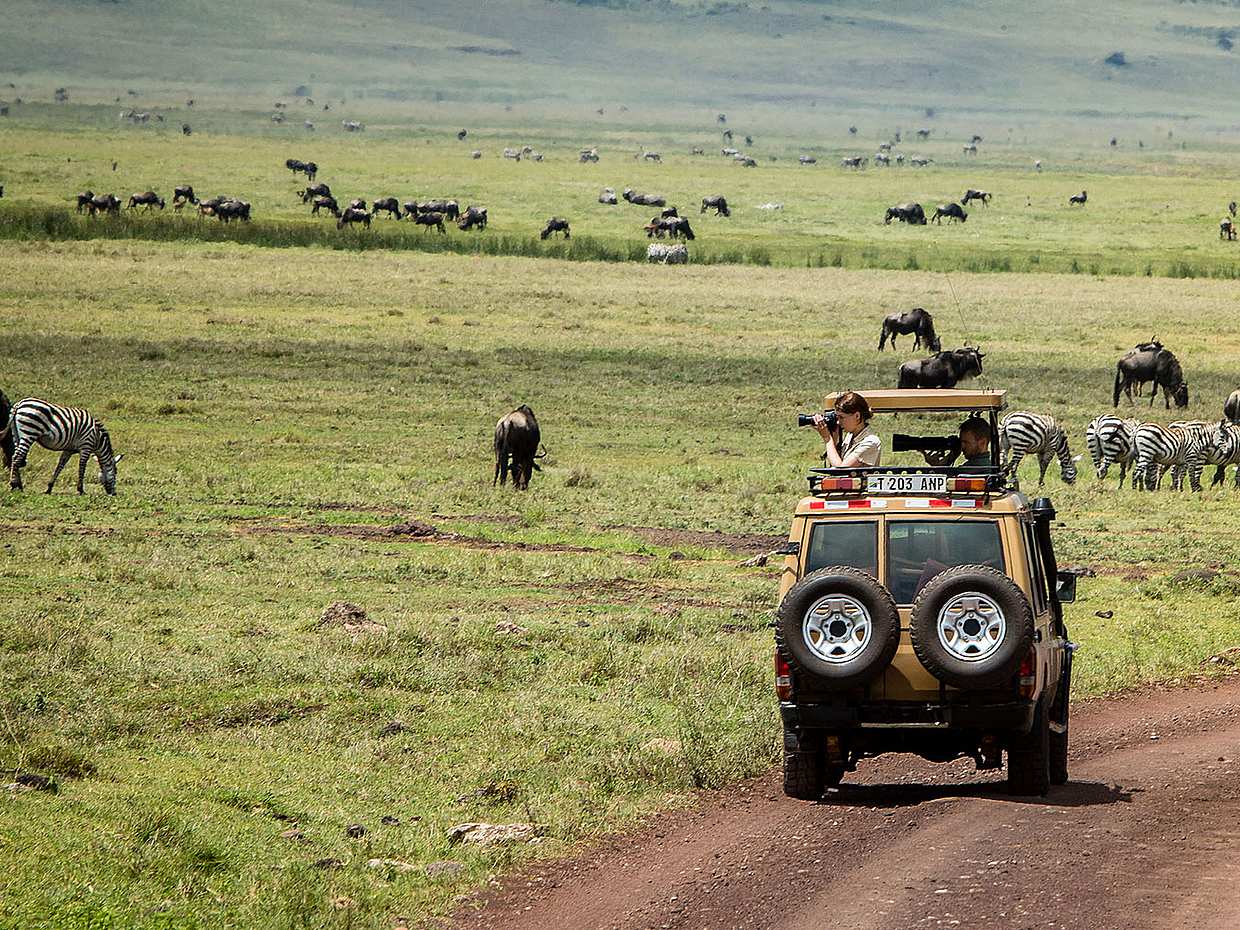 Full-day Ngorongoro Crater Tour from Arusha in Tanzania, photo 3
