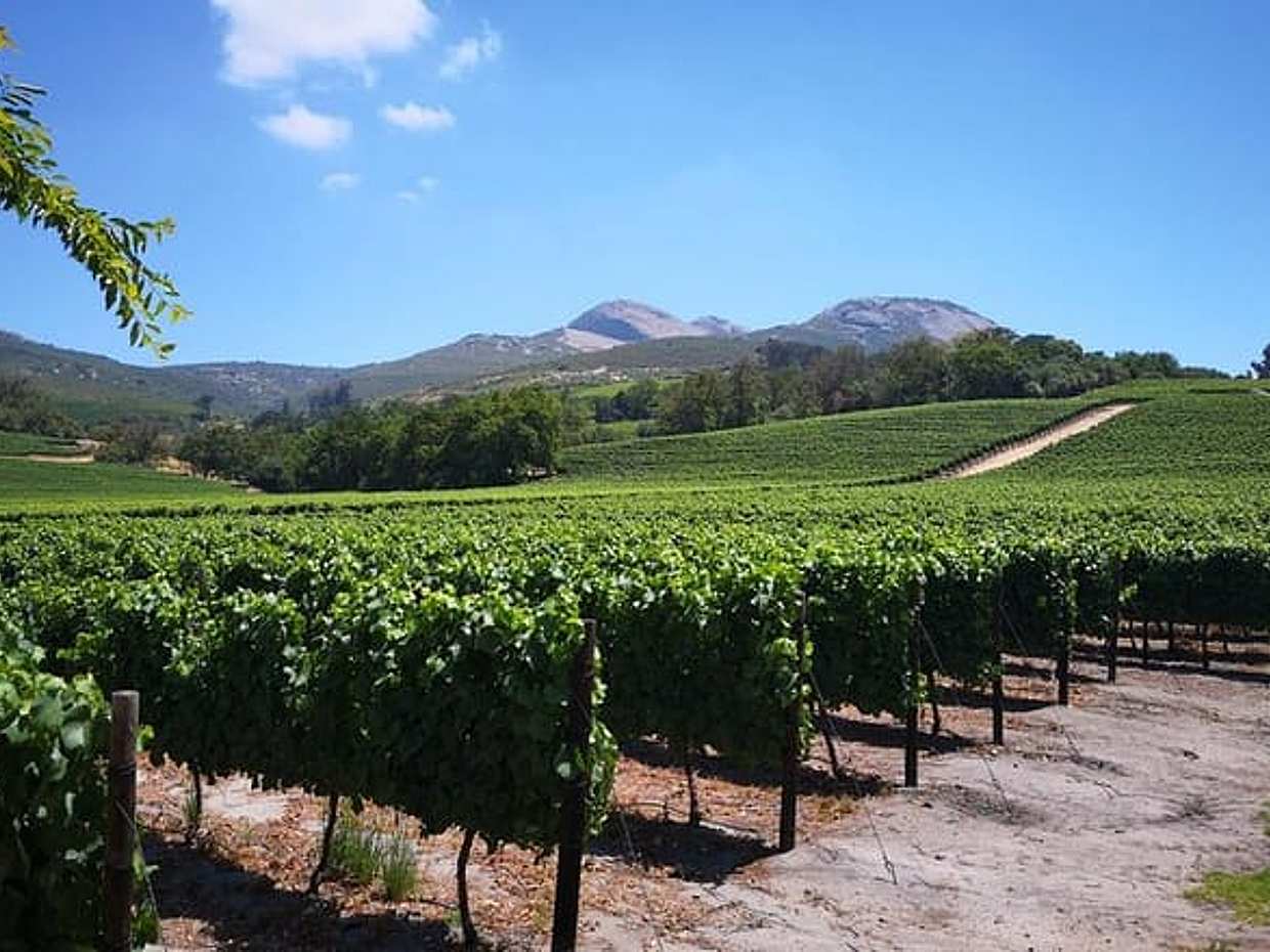 Private Stellenbosch, Franschhoek Paarl Wine Tour from Cape Town in South Africa, photo 2