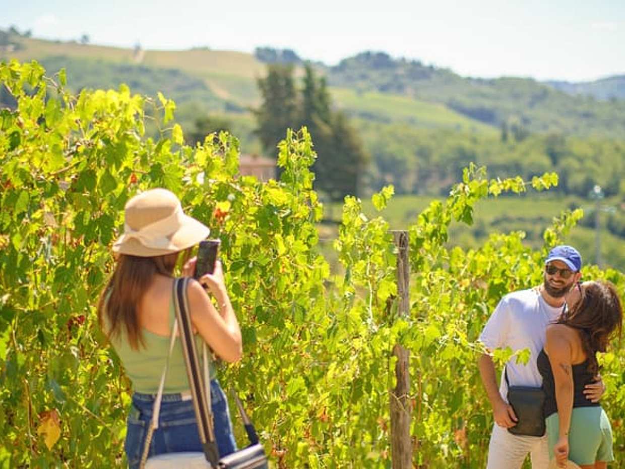 Florence to Chianti wine region with 2 wine tastings and vineyards escape in Italy