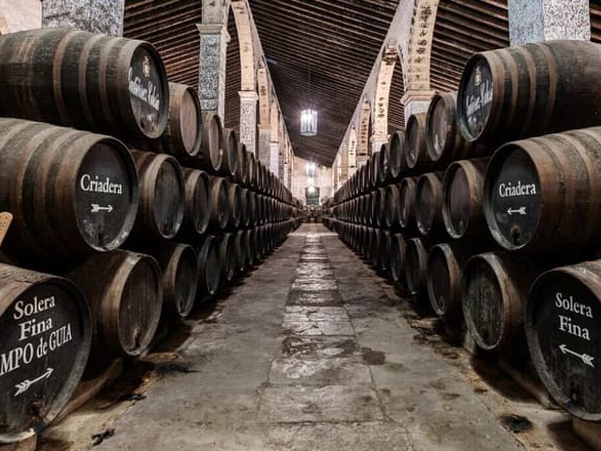 Exclusive Private Sherry Heritage and Cadiz Bay Experience, photo 2