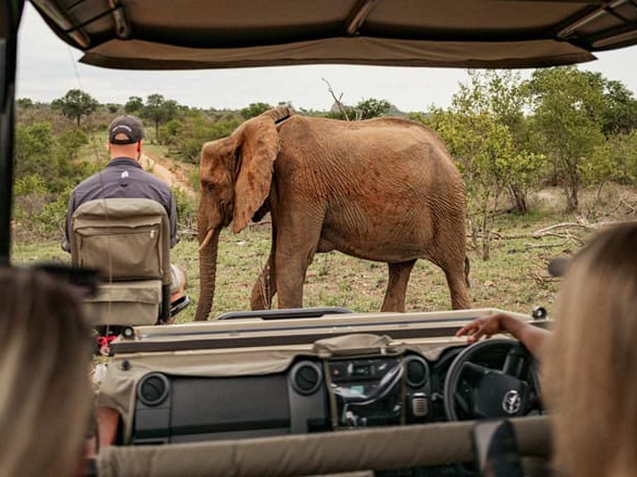 Tanzanya Safari: Serengeti, Ngorongoro ve Manyara Gölü | Büyük Beşli Yaban Hayatı Deneyimi, Arusha"