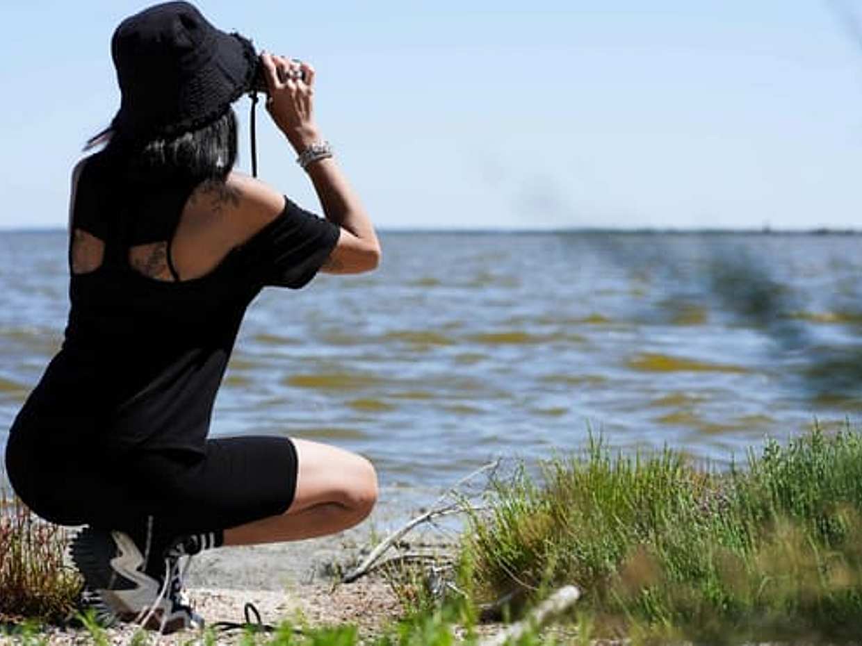 Comacchio Valleys: nature hike to the Boscoforte Peninsula among wild horses and lagoon landscapes