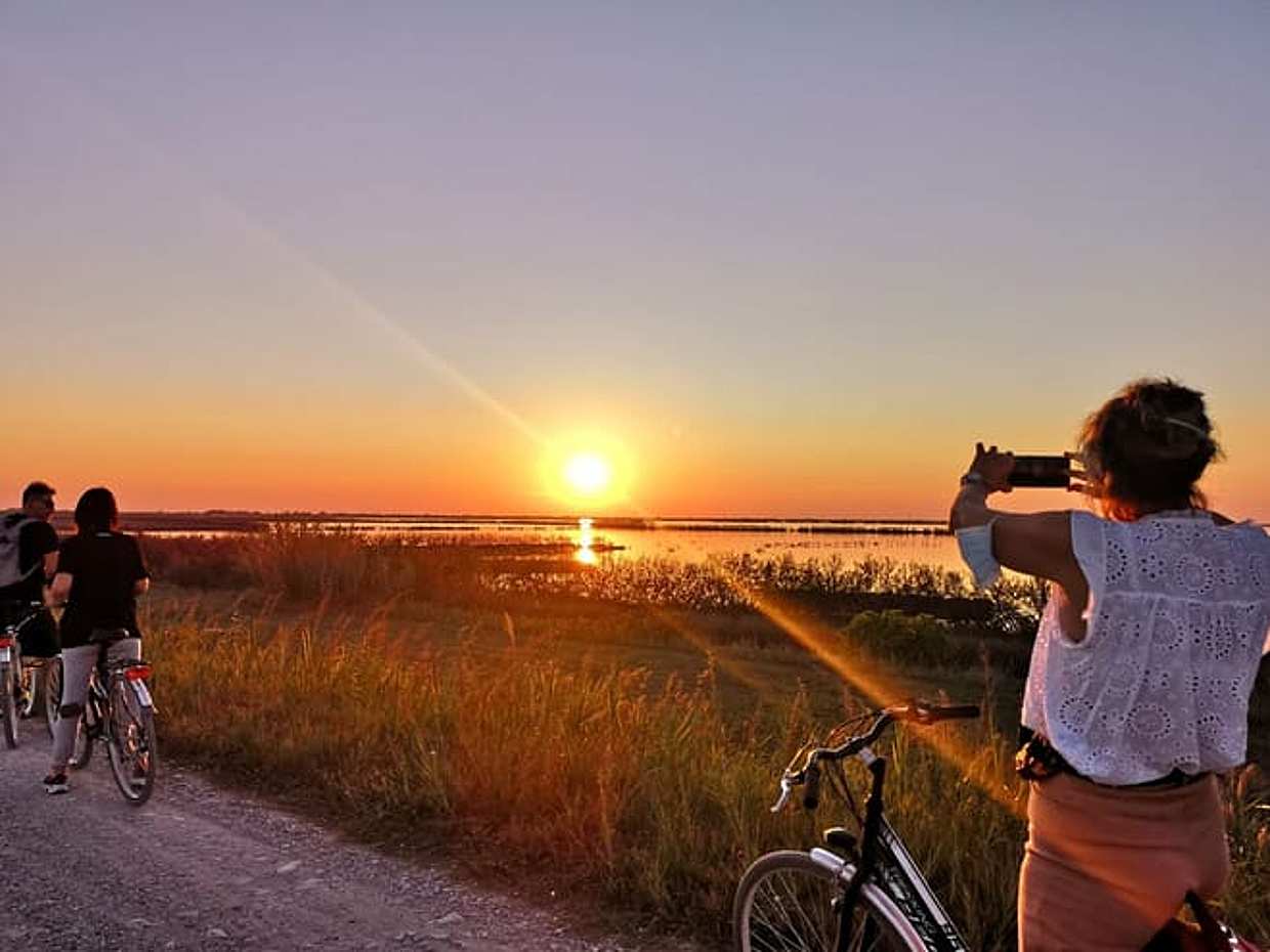 Bike tour in the Comacchio Valleys: admire flamingos at sunset