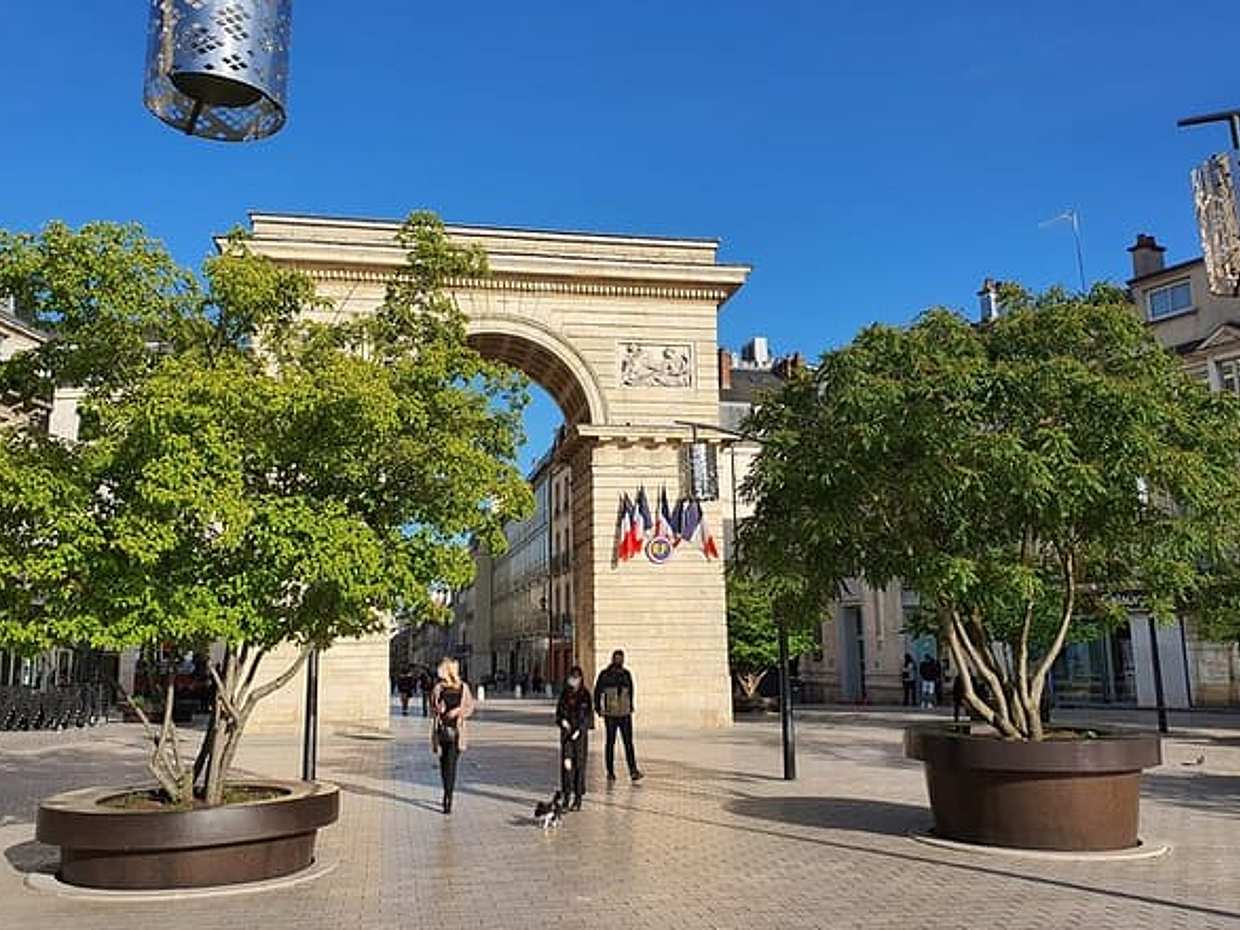 3 Hour Private Tour of Dijon - with CDG Airport Transfer