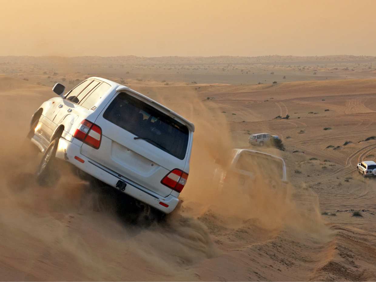 Dubai Red Dune Desert Safari with Camel Ride & BBQ Dinner in United Arab Emirates, photo 5