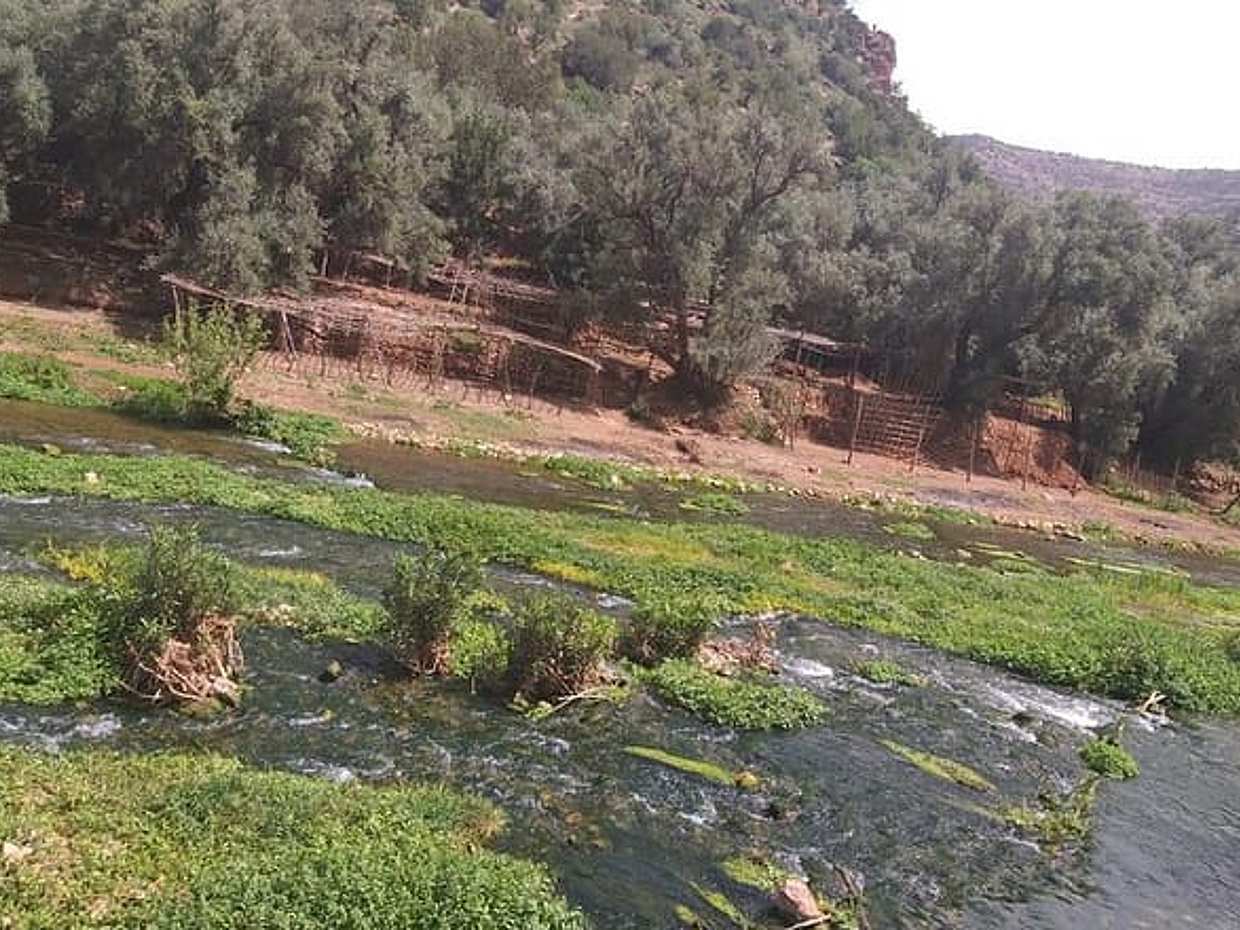 Private day trip to ouzoud waterfall from Marrakech, photo 4
