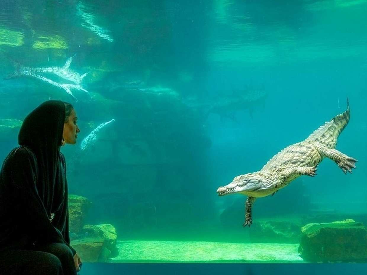 Dubai Crocodile Park, Compras no Dubai Mall, Visita ao 124º/125º Andar do Burj Khalifa e Show da Fonte Musical com Transfers Privados nos Emirados Árabes Unidos.
, photo 2