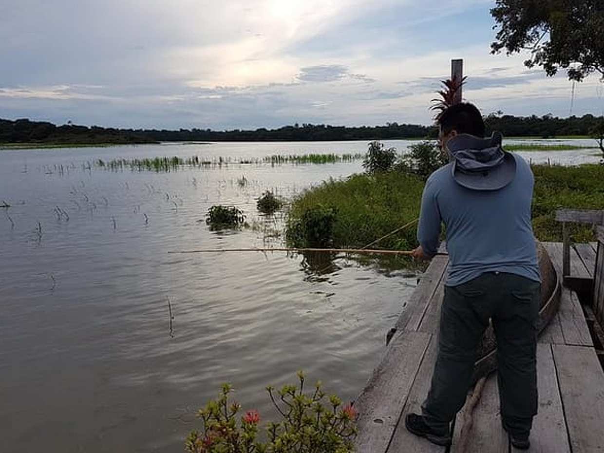 Solimoes River Piranha Fishing and Alligator Watching Tour in Brazil, Manaus, photo 5