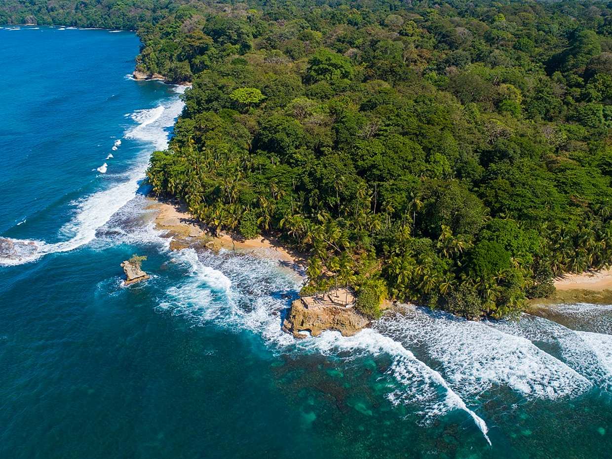 Cahuita National Park and Banana Plantation Tour from Limon in Costa Rica, photo 2