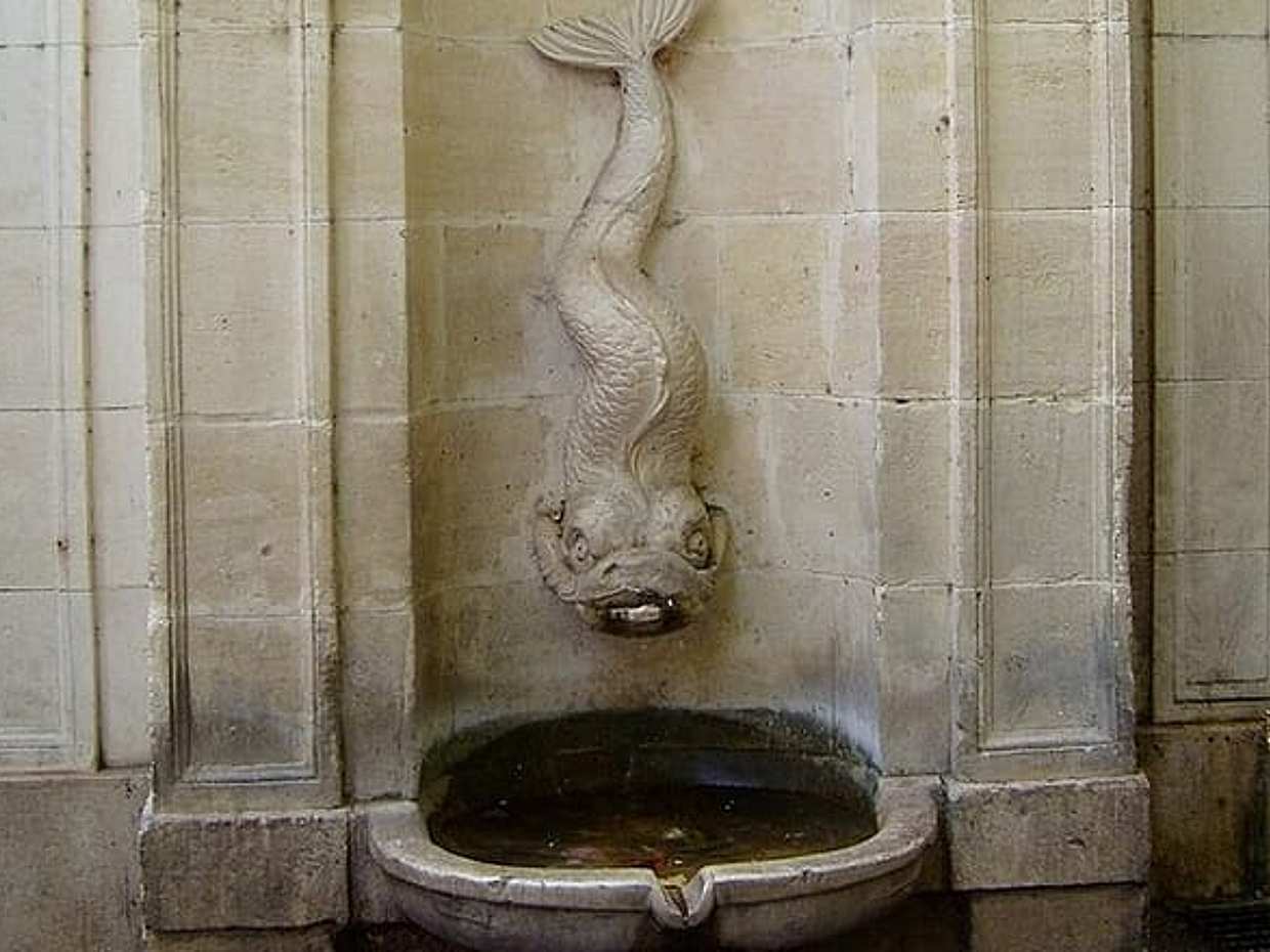 Toulon: Naval Heritage, Historic Old Town & Local Market Tour, photo 2