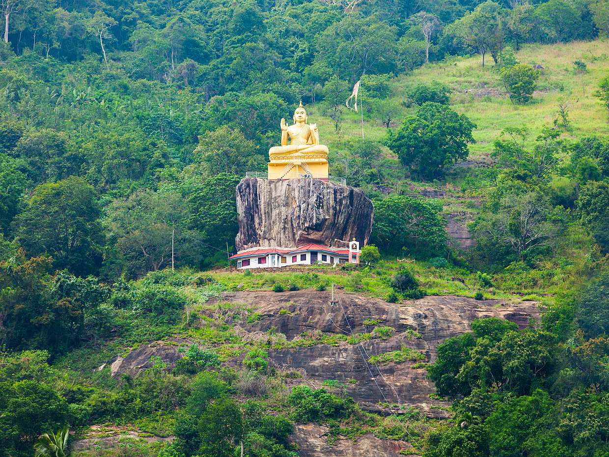 Private Elephant and Jeep Safari to Ancient Temples and Herbal Garden in Kandy, Sri Lanka, photo 3