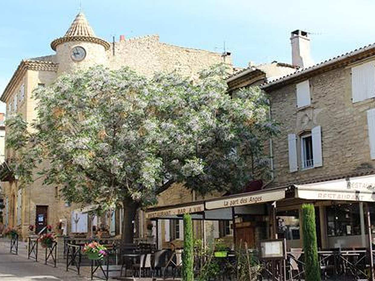 Weinprobe 4-stündige Tour in Avignon: Châteauneuf du Pape in Frankreich, Marseille
, photo 5