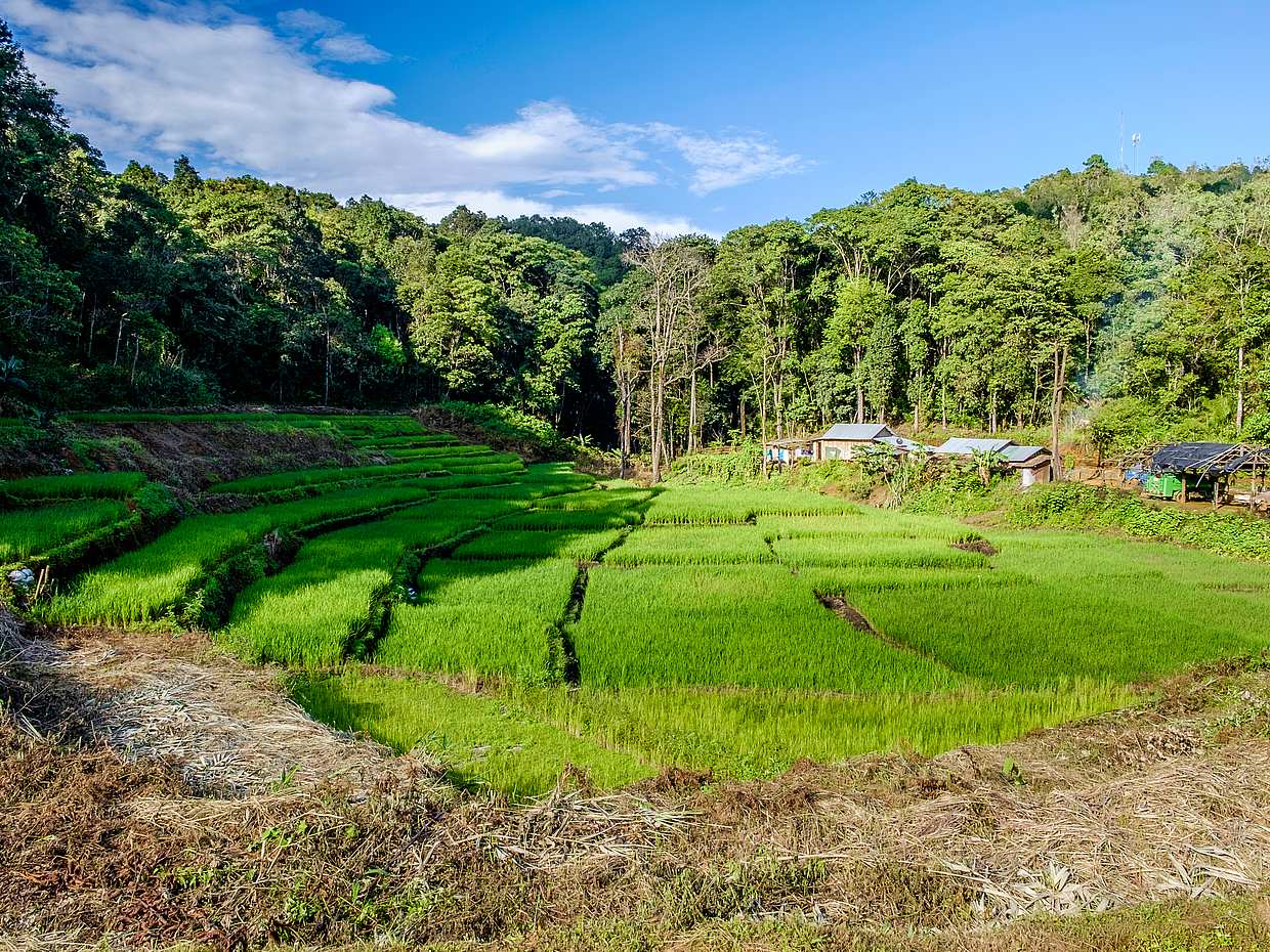 Private Trekking Tour to Knuckles Valley in Sri Lanka, Kandy, photo 3